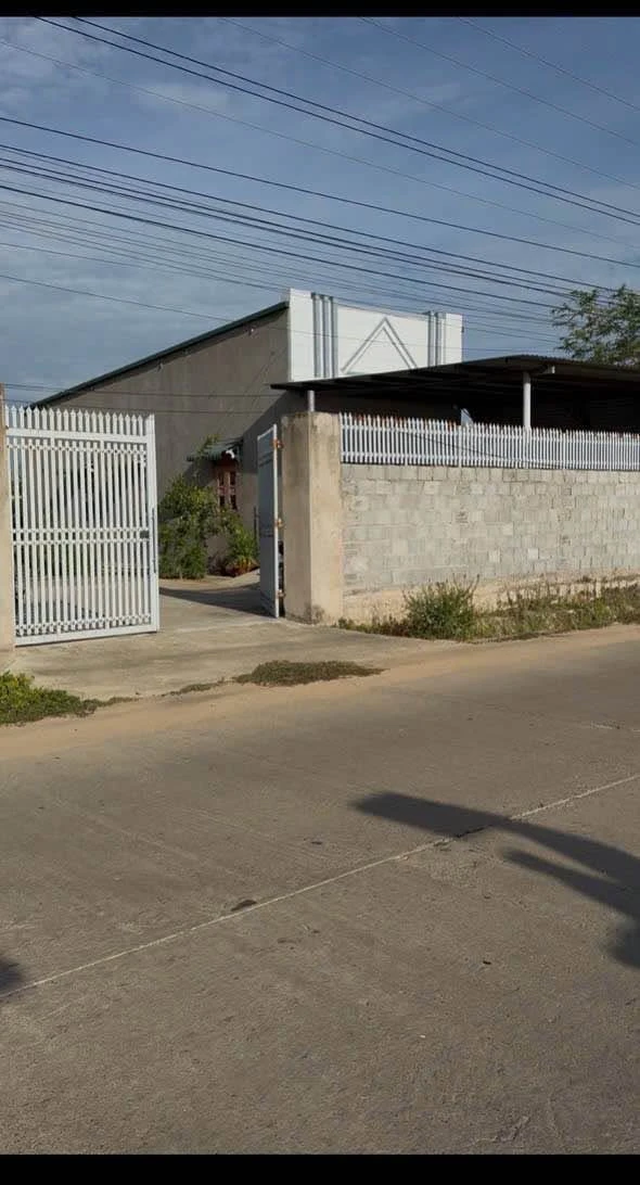 Bán đất 1.680m² mặt tiền đường An Long, Ninh Phước - Ảnh 1