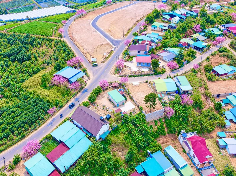 Bán biệt thự gốc 400m2 toàn thổ cư Lạc Dương, Khánh Hòa