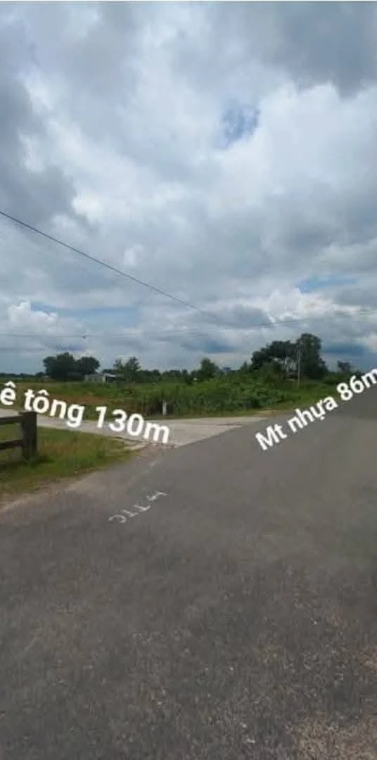 Bán đất Hàm Thuận Bắc 8400m2 giá 4 tỷ - Ảnh 1