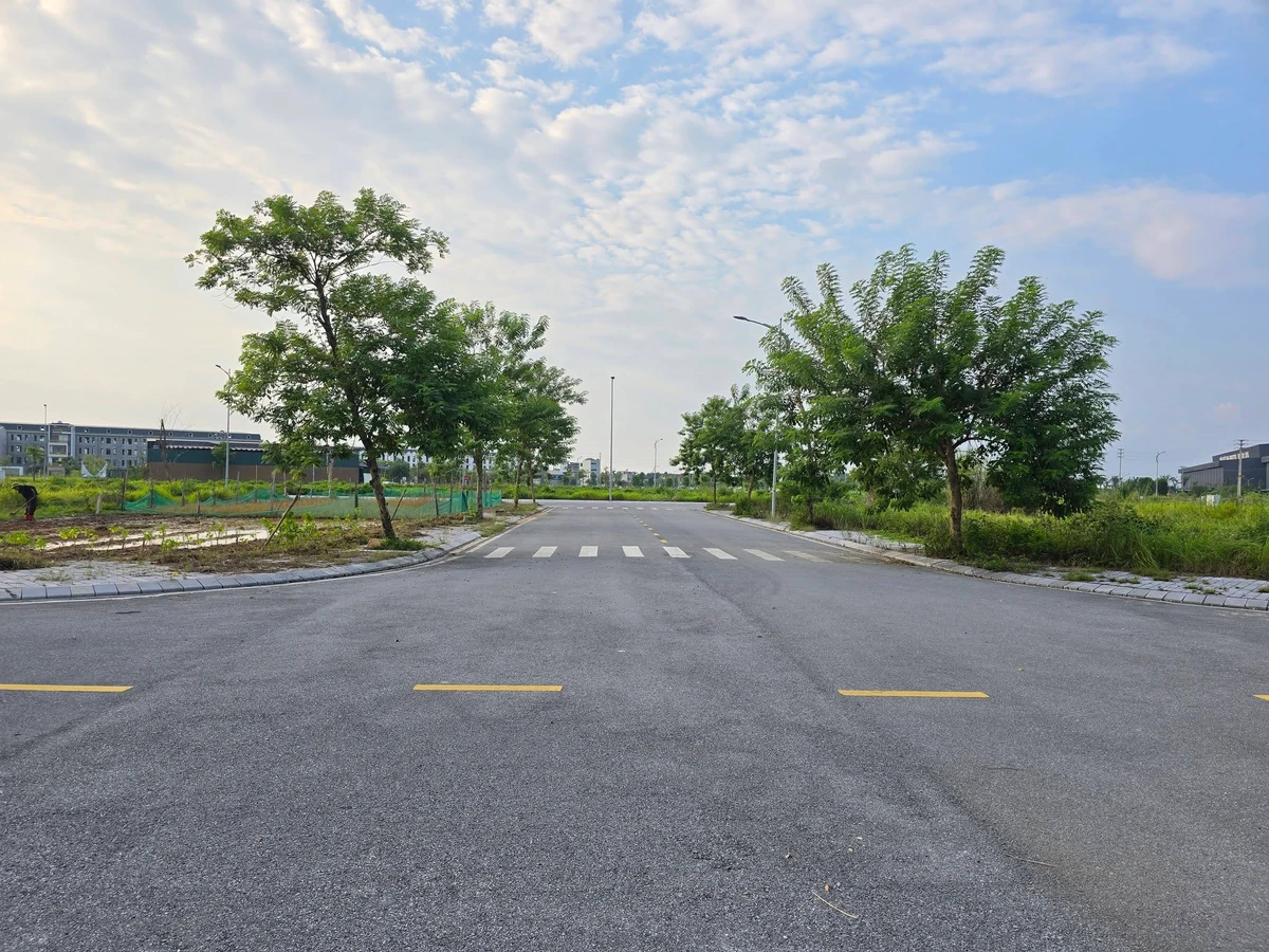 Bán lô đất góc 2 mặt tiền 329m2 KĐT Tứ Trưng, Vĩnh Tường, Vĩnh Phúc - Ảnh 1