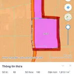 Bán đất 100m2 mặt tiền 82m tại Hàm Liêm, Bình Thuận 2 tỷ 850 - Ảnh thu nhỏ 3
