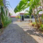 Bán nhà vườn 620m² Phường Bửu Long, giá 3 tỷ - Ảnh thu nhỏ 4