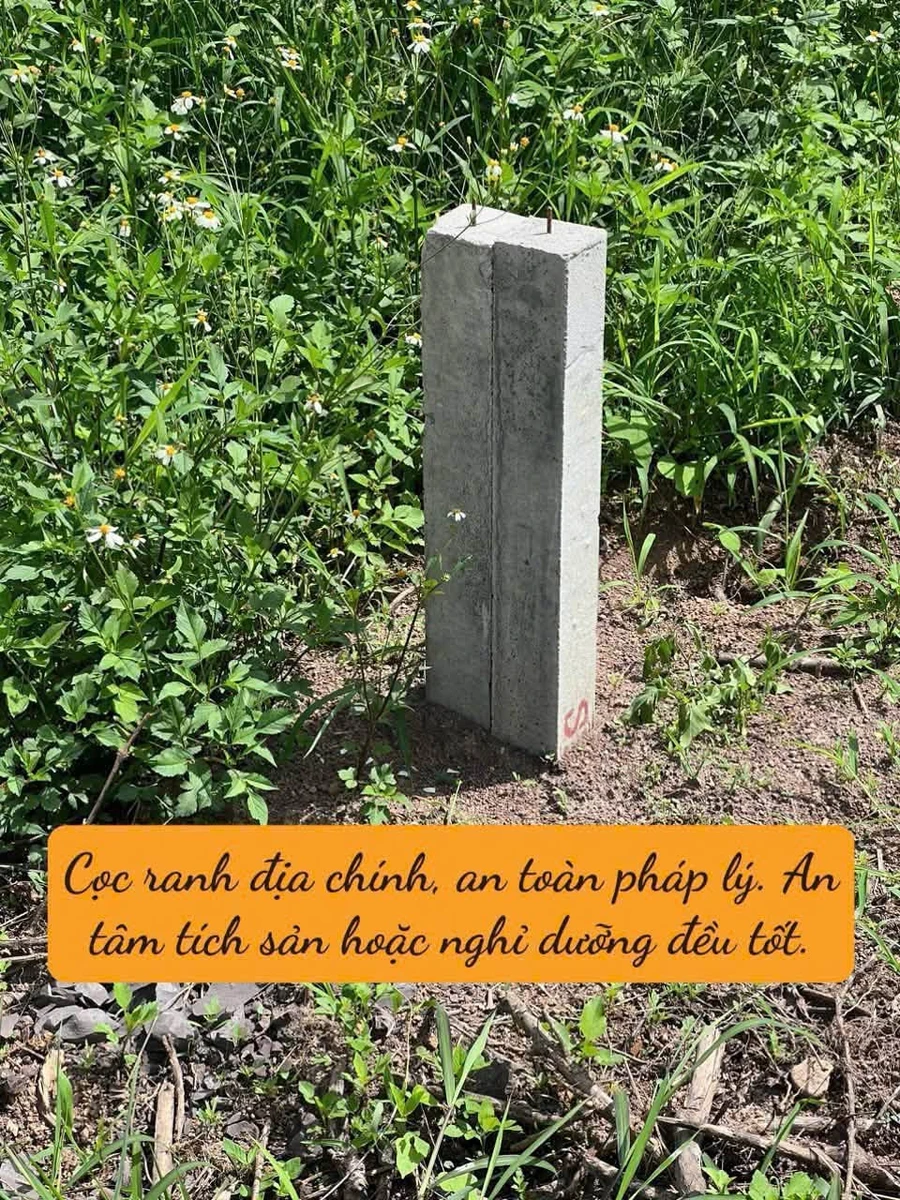 Bán đất Nam Ban ven Đà Lạt 174m² 599 triệu - Ảnh thu nhỏ 3