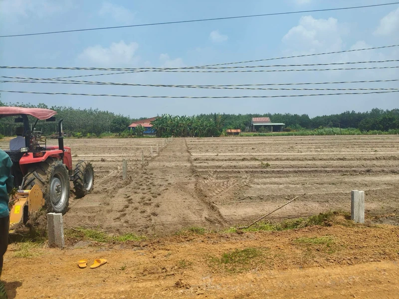 Bán đất nền 300m² Thạnh Bình Tây Ninh 129 triệu