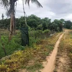 Bán lô đất vườn có nhà cấp 4 tại Ninh Phước, Khánh Hòa - Ảnh thu nhỏ 2