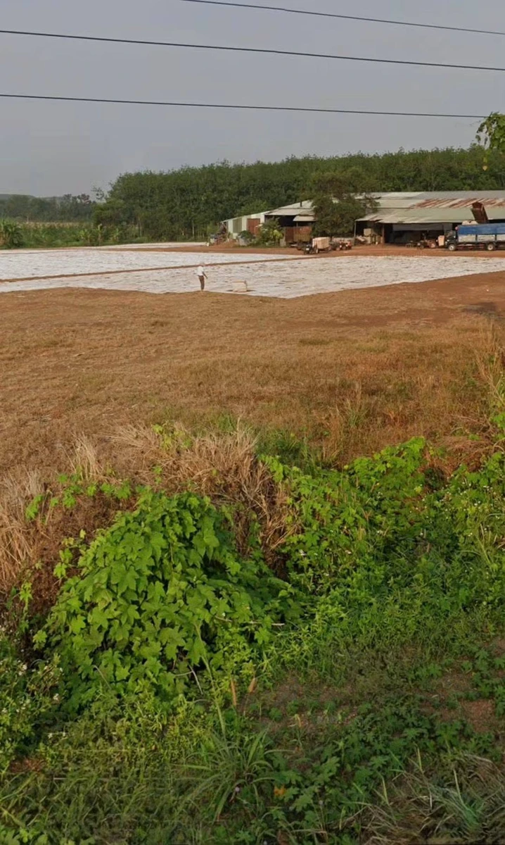 Bán 1,3 ha đất công nghiệp Đồng Phú, mặt tiền 89m, 1 tỷ - Ảnh 1