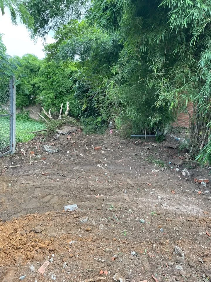 Bán đất 1098m2 full thổ cư Xã Đức Lập, Tây Ninh - Ảnh thu nhỏ 5