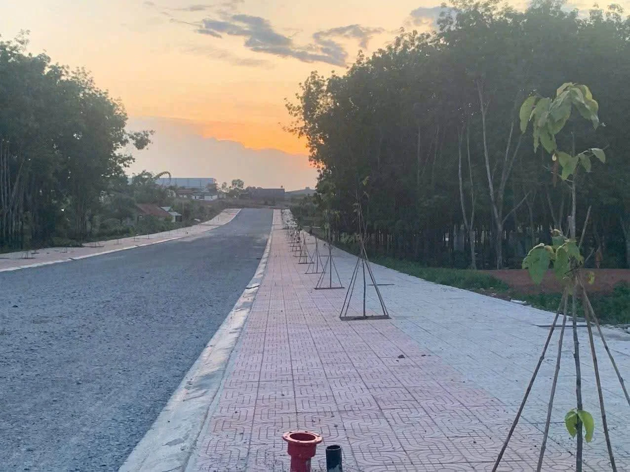 Bán đất Võ Văn Tần 300m², 2 mặt tiền, 1.3 tỷ - Ảnh 1