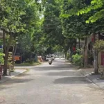 Bán đất Đặng Thái Mai Hải Dương 67,5m² 3 tỷ 5 - Ảnh thu nhỏ 1