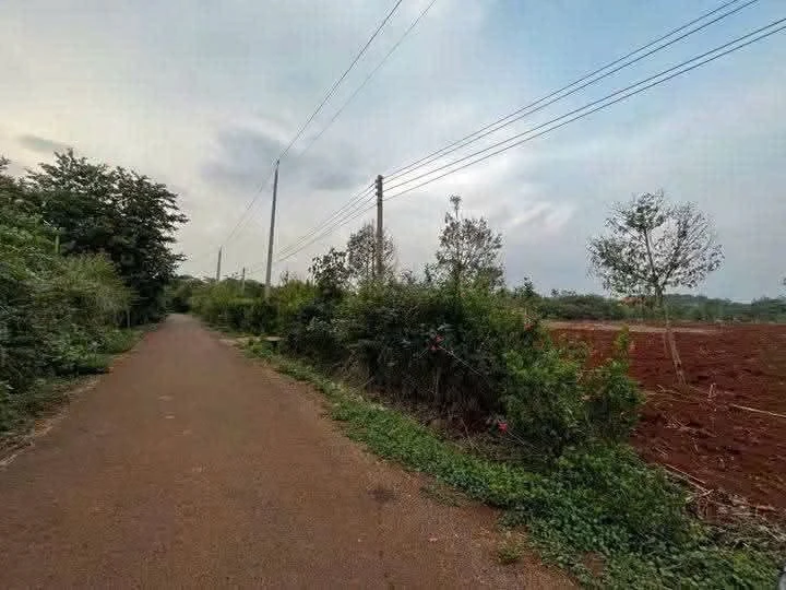 Bán đất 2000m2 mặt tiền Mỹ Xuân giá 2.5 tỷ - Ảnh thu nhỏ 2