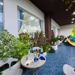 Bán nhà vườn 300m2 3 phòng ngủ Đồng Xoài 3,2 tỷ - Ảnh thu nhỏ 3