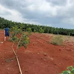 Bán đất vườn 3,1 sào (100m²) Hoà Hiệp, TP HCM - Ảnh thu nhỏ 4