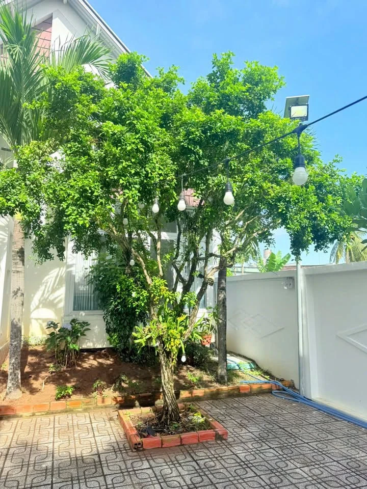Nhà mái Thái 2 mặt tiền Long Hoà 285m² giá 2 tỷ 750 - Ảnh thu nhỏ 3