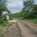 Bán đất mặt tiền 2.000m² Nghĩa Phú, Lâm Đồng 900 triệu - Ảnh thu nhỏ 3