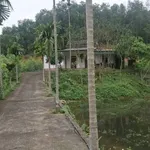 Bán đất Sơn Dương Tuyên Quang 7.500m² hơn 1 tỷ - Ảnh thu nhỏ 2