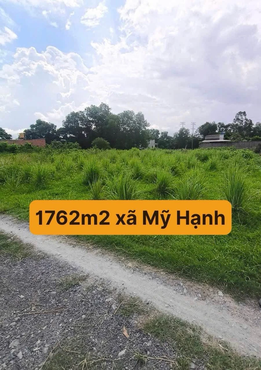 Bán 1760m2 đất vườn sổ hồng riêng gần TL824, xã Mỹ Hạnh, giá 4,4 tỷ - Ảnh thu nhỏ 2