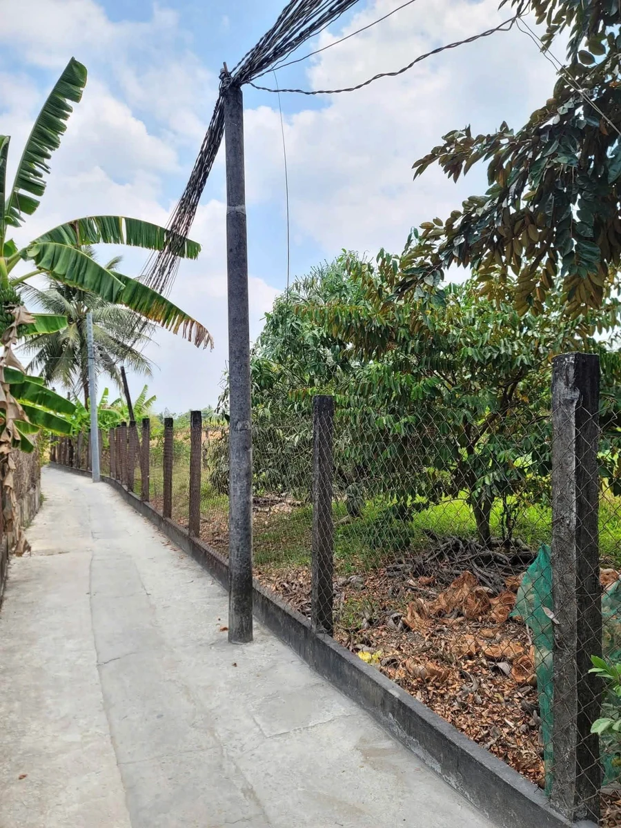 Bán lô đất vườn 1.197m² Cần Giuộc, Long An 2,6 tỷ - Ảnh thu nhỏ 2