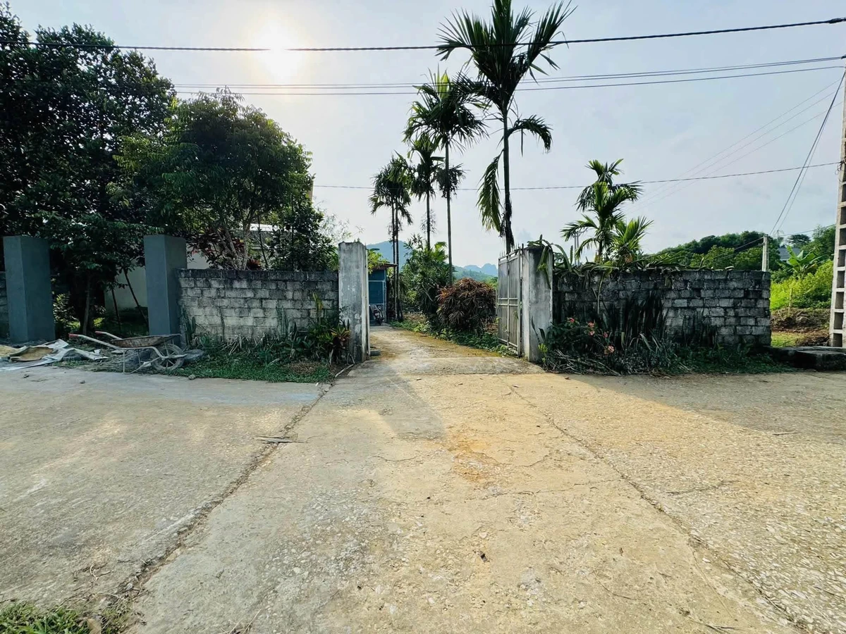 Bán đất 254m² view cánh đồng Kim Bôi, Hòa Bình - Ảnh thu nhỏ 3