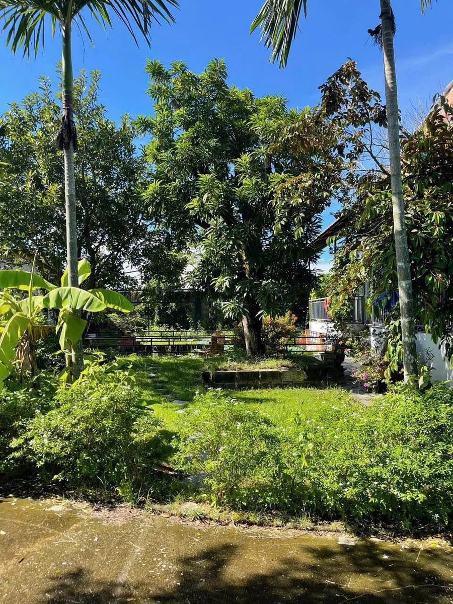 Bán nhà vườn nghỉ dưỡng 2.000m² Phan Thiết giáp suối - Ảnh thu nhỏ 2