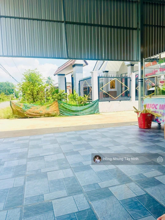350tr - Gần Chợ Lộc Ninh, Tây Ninh đường ô tô 4m, 5x27m full thổ cư, sổ hồng riêng - Ảnh thu nhỏ 4