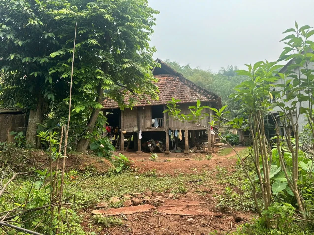 Bán đất 1.500m² Mường Hoa Phú Thọ hơn 600 triệu - Ảnh 1