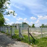 Bán 4 lô đất 140m2 Giồng Cà, Tây Ninh - 199 triệu/lô - Ảnh thu nhỏ 3