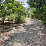 Bán đất 70m² tại Trường Hòa, Tây Ninh – 250 triệu - Ảnh thu nhỏ 4