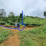 Bán đất trồng cà phê chè 6300m2, giá 1,32 tỷ - Ảnh thu nhỏ 1