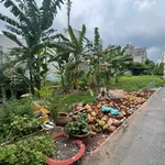 Bán đất Lộc Vừng 402m2, 33 tỷ, Thủ Đức - Ảnh thu nhỏ 1