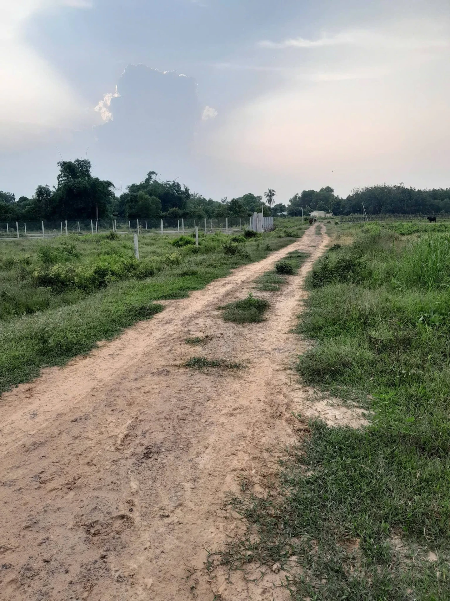 Bán 2 công đất gò 2000m² giá 380 triệu tại An Cơ, Châu Thành, Tây Ninh - Ảnh 1