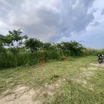 Bán nền đất 5x22m, 600 triệu, Quang Trung Q.11 - Ảnh thu nhỏ 3