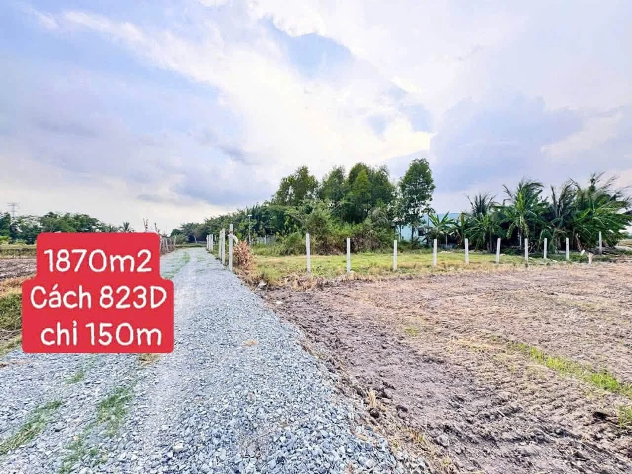 Bán đất Đức Hòa Thượng 1870m2 mặt tiền 46m giá 3 tỷ 5 - Ảnh 1