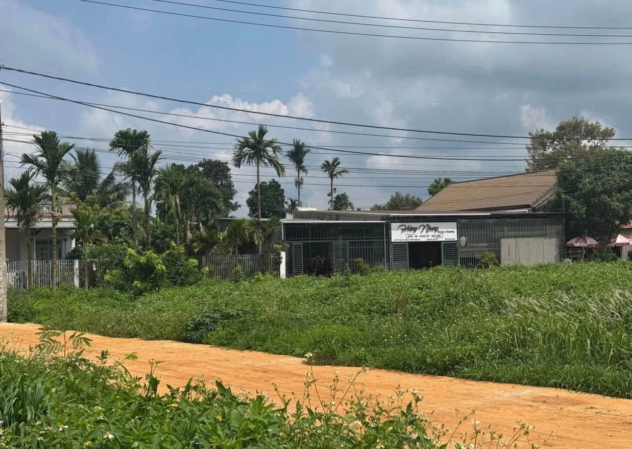 Bán lô đất làm nhà vườn 675m² Tân An, Bình Chánh - Ảnh 1
