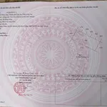 Bán đất mặt tiền đường Đỗ Tường Tự, xã Bình Tâm, Tân An, Long An, giá 2,75 tỷ - Ảnh thu nhỏ 5