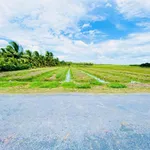Bán 3 nền đất liền kề hơn 700m² mặt tiền lộ nhựa tại Xã Ngãi Tứ, Vĩnh Long - Ảnh thu nhỏ 1