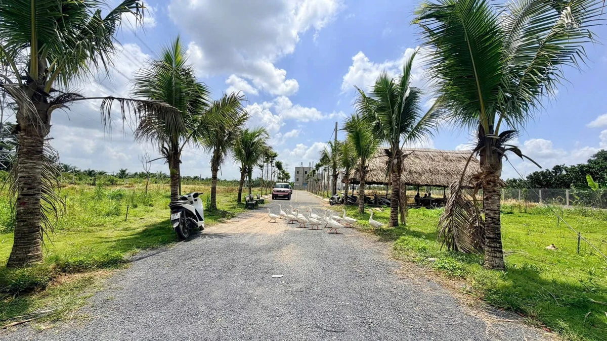 Bán đất nền Làng Bưởi Tân Triều 76–110m² từ 889 triệu - Ảnh thu nhỏ 2
