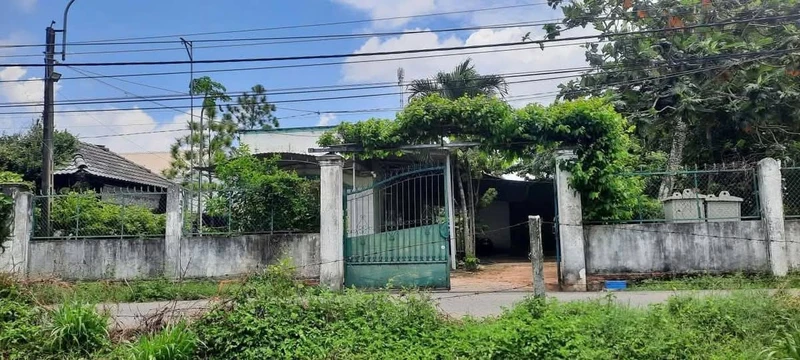 Bán đất cây lâu năm Phước Hưng Bà Rịa 5 tỷ 2941m2