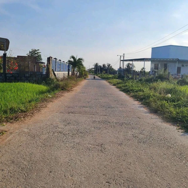 Bán 446m² đất thổ cư Hàm Phú, Bình Thuận