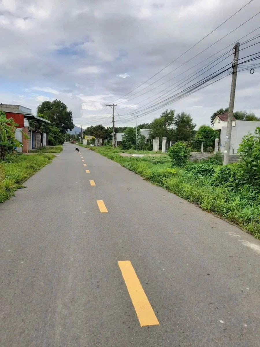 Bán nhà mặt tiền đường Đinh Công Tráng, Trảng Cát, Tân Thành, giá 2,39 tỷ - Ảnh thu nhỏ 3