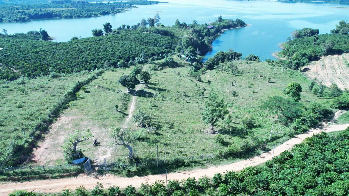Bán đất nông nghiệp 1.000-2.000m² Đăk Hà, Kon Tum, 280-350 tr/1.000m² - Ảnh thu nhỏ 2