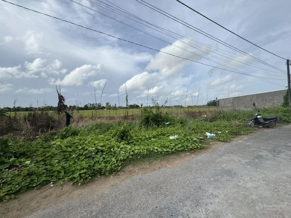 Bán đất tại Phường Mỹ Quý, thành phố Long Xuyên (nay là phường Long Xuyên), tỉnh An Giang. - Ảnh thu nhỏ 3