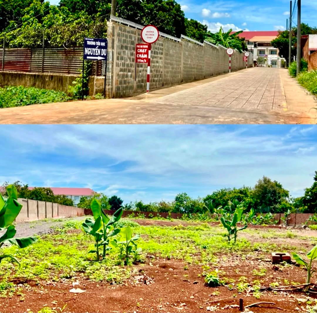 Bán đất 140m² (5x28m) sổ riêng Gia Kiệm, Hóc Môn - Ảnh 1