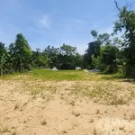 Bán đất view sông Hương Huế 1.922m² – 16,3 tỷ - Ảnh thu nhỏ 3