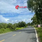 Bán nền đất Đầm Dơi 388,9m² mặt tiền 12m - Ảnh thu nhỏ 1