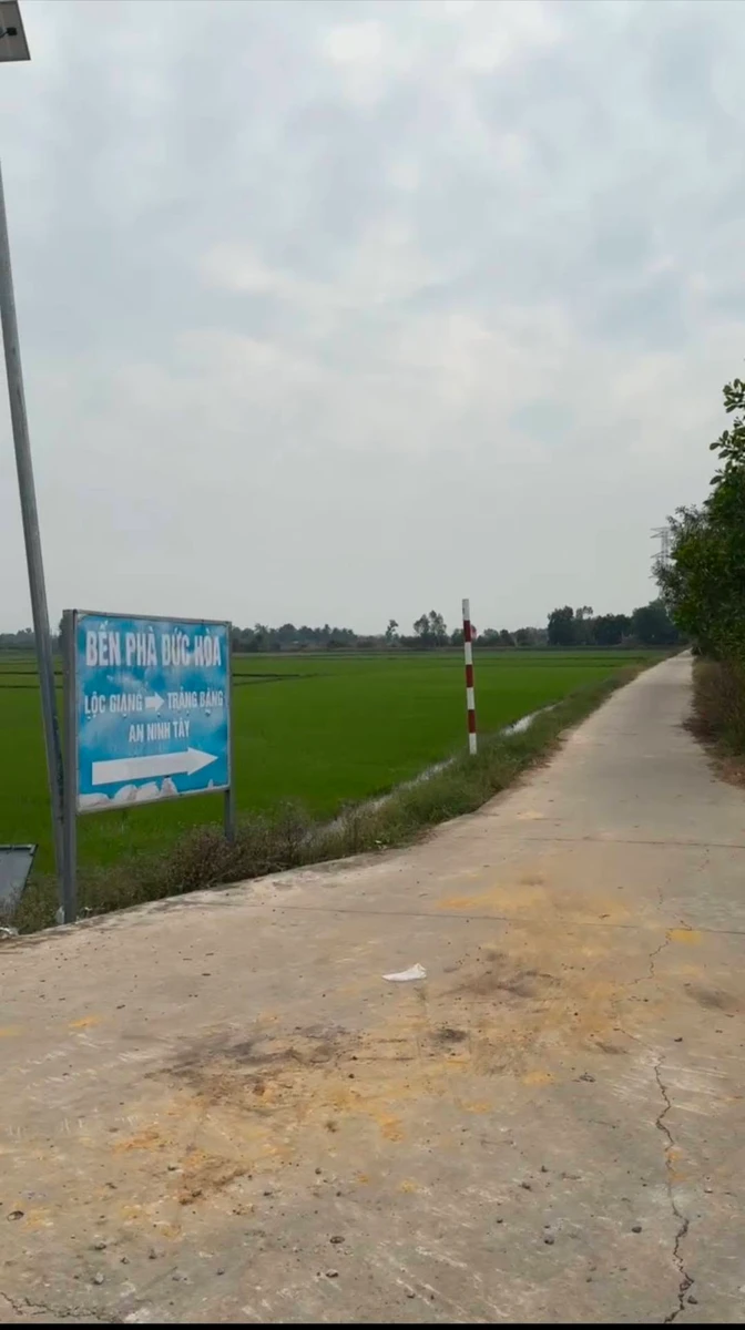Bán đất 8 công 2 Phước Chỉ Tây Ninh 1 tỷ 100 triệu - Ảnh thu nhỏ 5