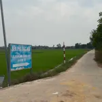 Bán đất 8 công 2 Phước Chỉ Tây Ninh 1 tỷ 100 triệu - Ảnh thu nhỏ 5