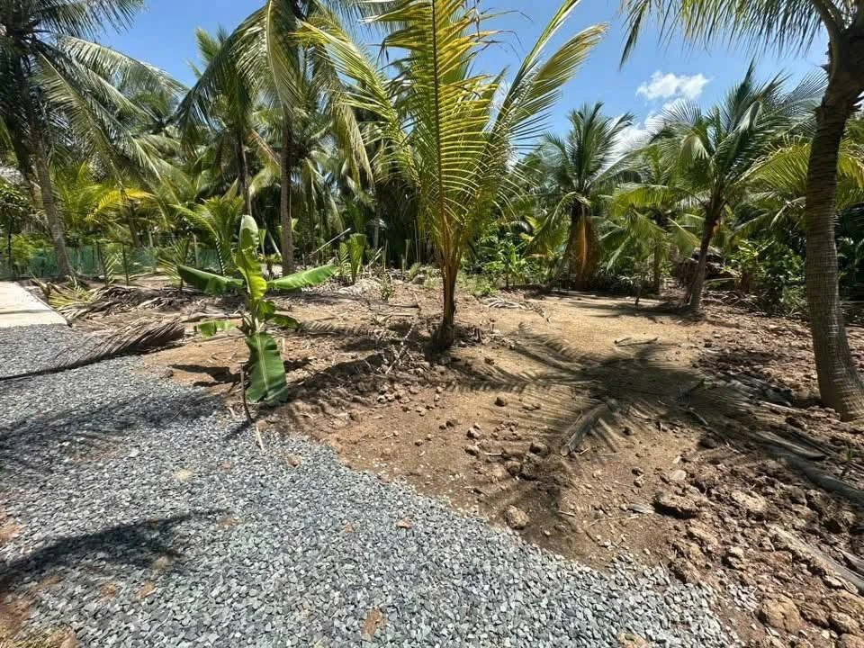 Bán đất Thành An 1000m² giá 450 triệu - Ảnh 1