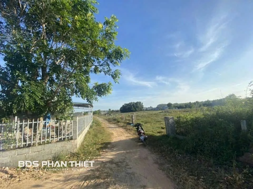 Bán đất Phan Thiết 498 m², 1 tỷ 950 triệu - Ảnh thu nhỏ 3