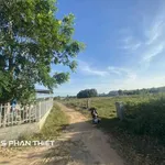 Bán đất Phan Thiết 498 m², 1 tỷ 950 triệu - Ảnh thu nhỏ 3
