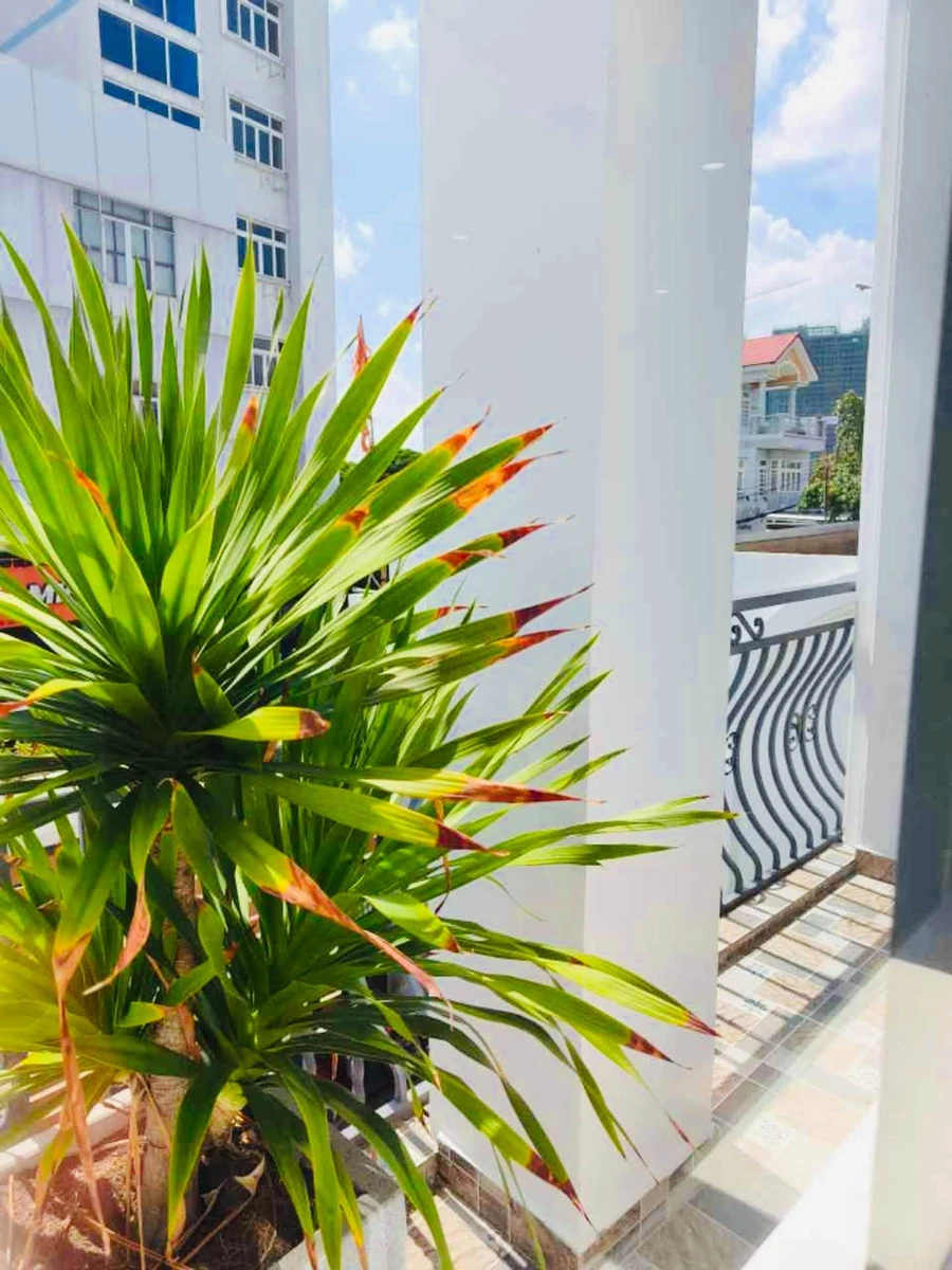 Bán nhà mặt tiền kinh doanh 117,2m² ngang 6m gần KCN Sóng Thần, Dĩ An, giá 6,9 tỷ - Ảnh thu nhỏ 3
